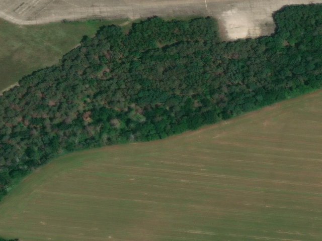 Zwangsversteigerung: unbebautes Grundstück, Ackerland in Bahnsdorf