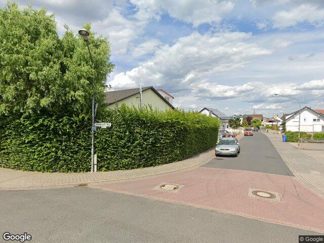 Zwangsversteigerung: gewerblich genutztes Grundstück in Seligenstadt, Froschhausen