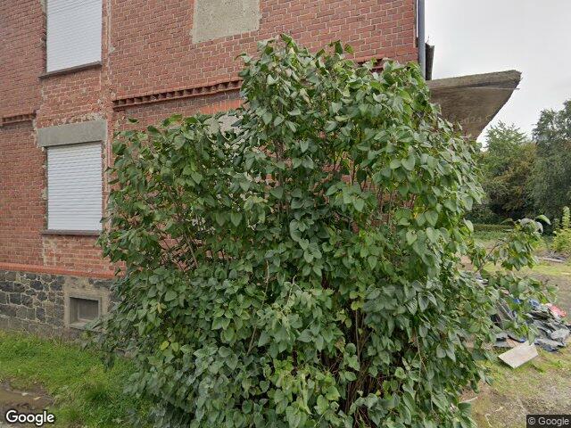 Zwangsversteigerung: Einfamilienhaus in Bad Endbach, Wommelshausen