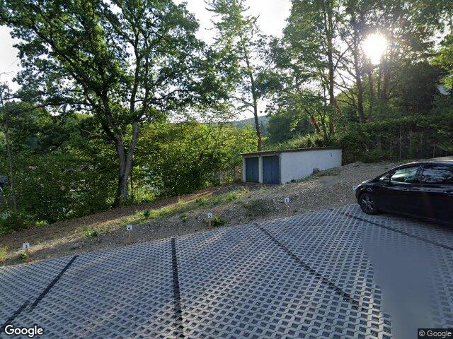 Zwangsversteigerung: Waldfläche, Im Walme 8 und 9, 56130 Bad Ems in Bad Ems