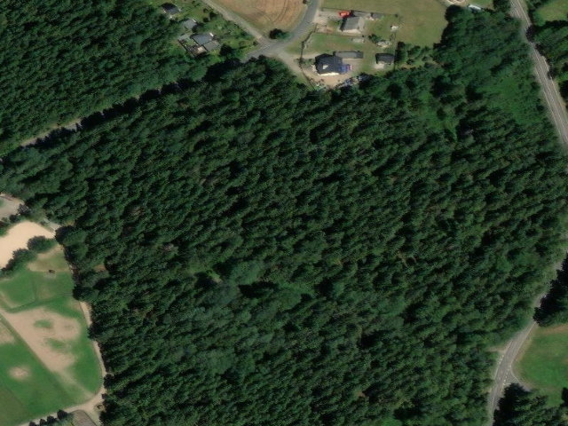 Zwangsversteigerung: Sonstiges, Kl in Auerbach