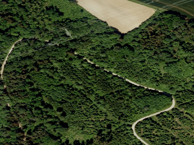 Zwangsversteigerung: land- und forstwirtschaftlich genutztes Grundstück in Niederviehbach