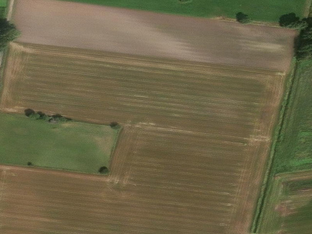 Zwangsversteigerung: land- und forstwirtschaftlich genutztes Grundstück in Steyerberg