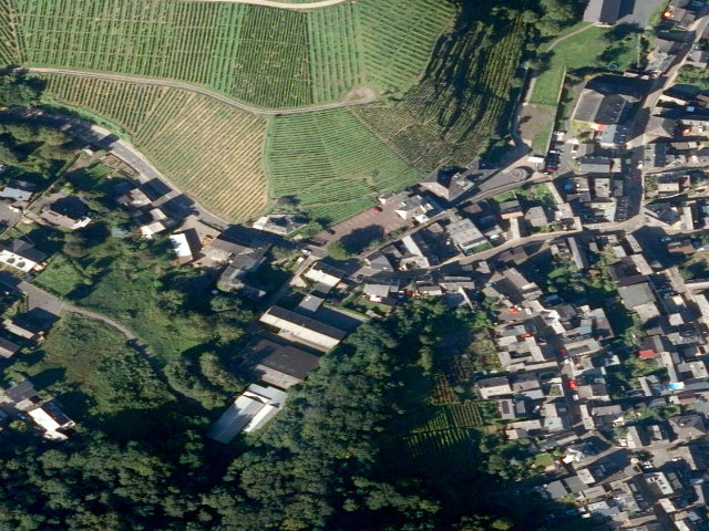 Zwangsversteigerung: unbebautes und unbefestigtes Hanggelände in Lehmen