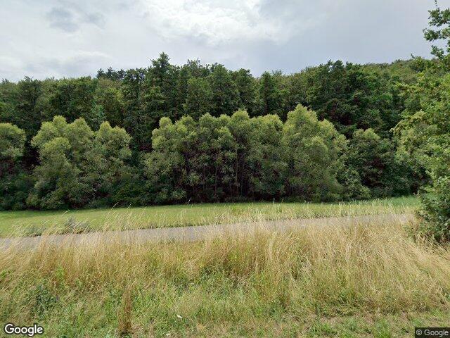 Zwangsversteigerung: Sonstiges in Herren-Sulzbach