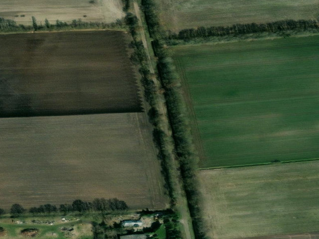 Immobilie in Surwold